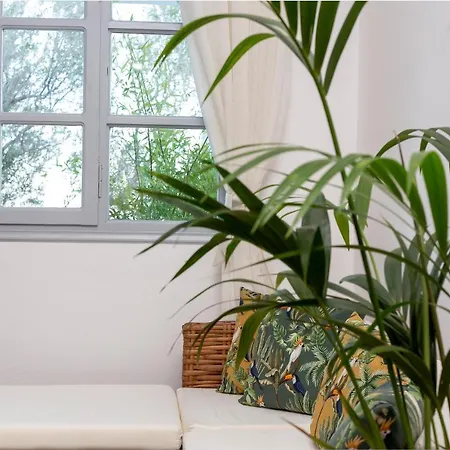 Divino (adults Only) Hotel Fira (Santorini)