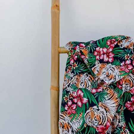 Divino (adults Only) *