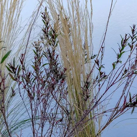 Divino (adults Only) Hotel *