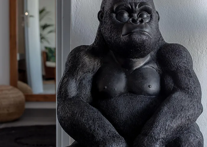 Divino (adults Only) * 费拉