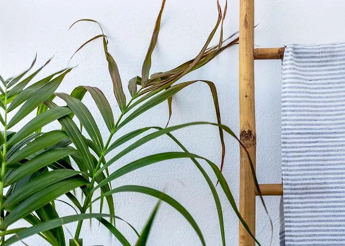 酒店 Divino (adults Only) 费拉