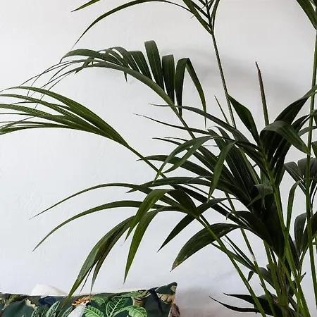 Divino (adults Only) Hotel Fira (Santorini)