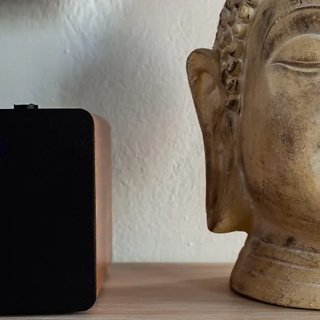 Divino (adults Only) *