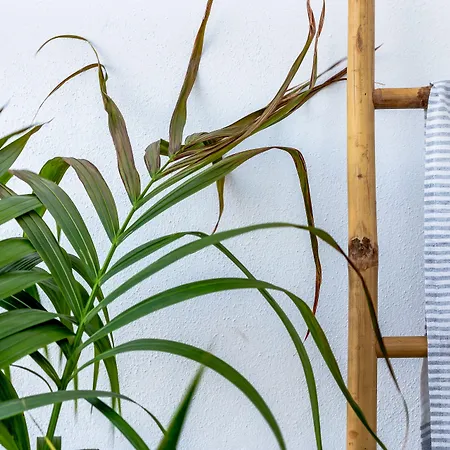 Hotel Divino (adults Only) Fira (Santorini)