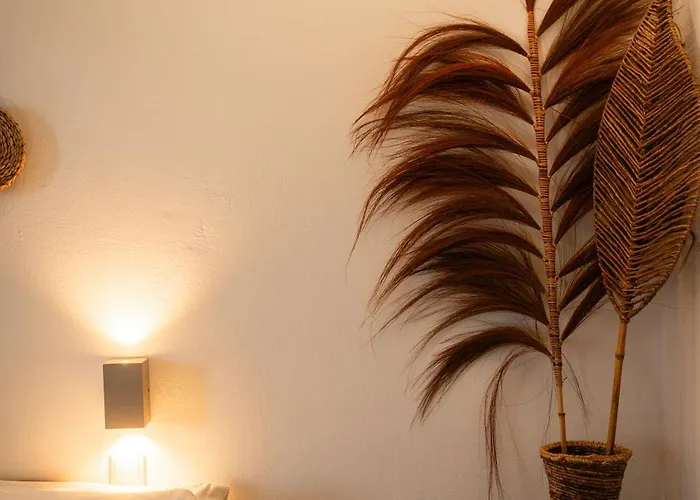 Divino (adults Only) *