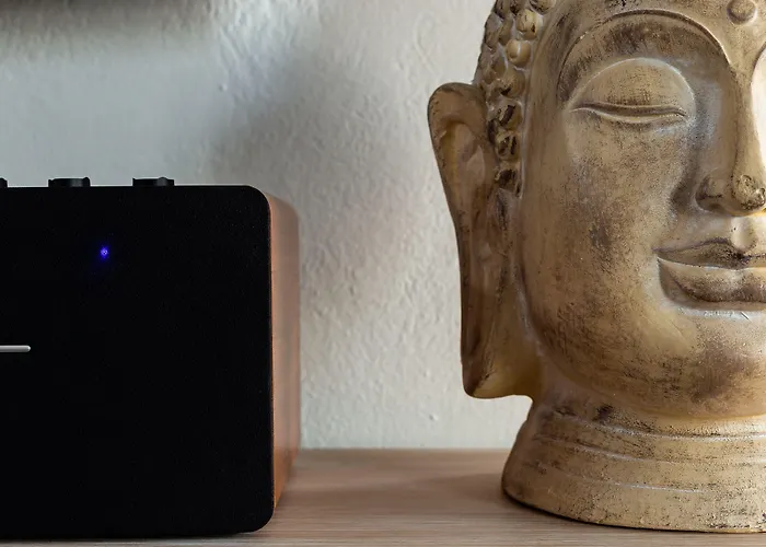 Divino (adults Only) *